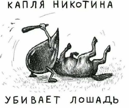 Ярость казацкая