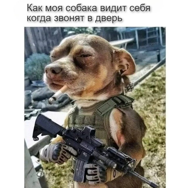 Картинки и мемы для настроения  - 31