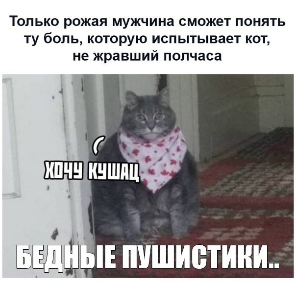 Так себе картинки 18.06.22