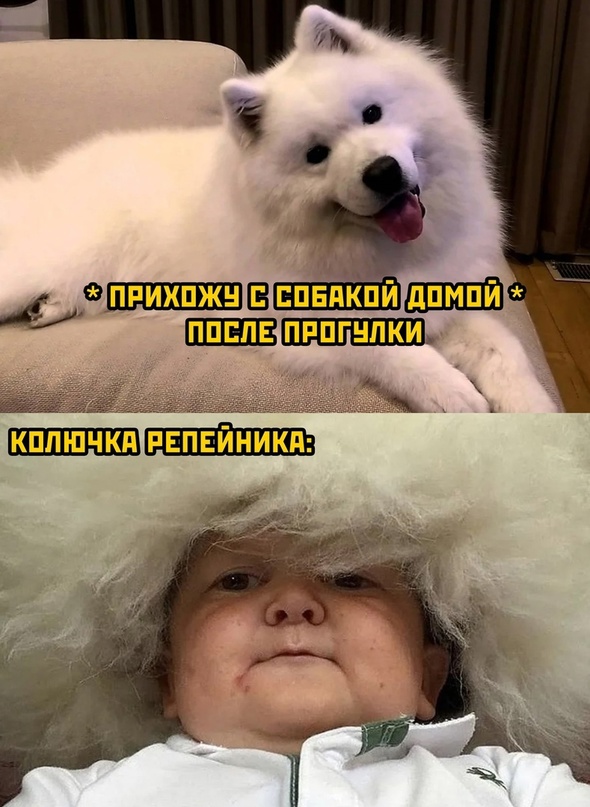 Немного картинок для настроения - 117