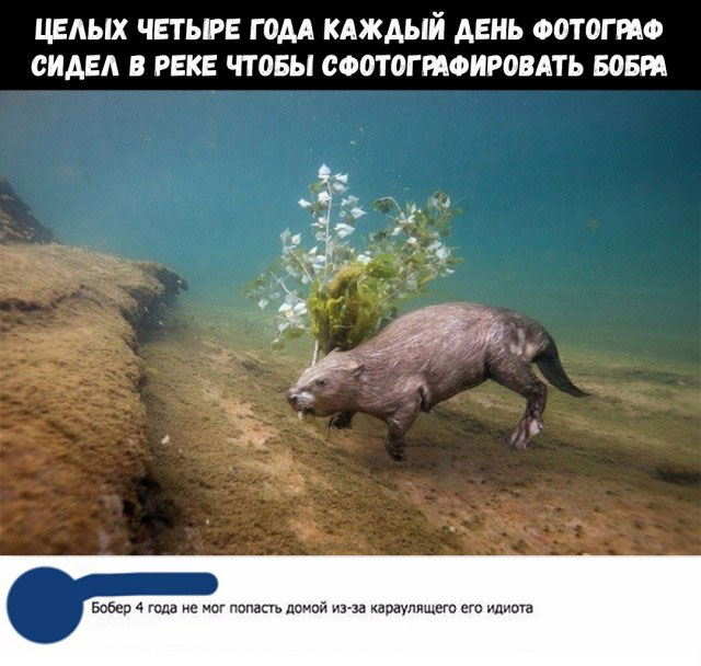 Буквы, рамки 18+