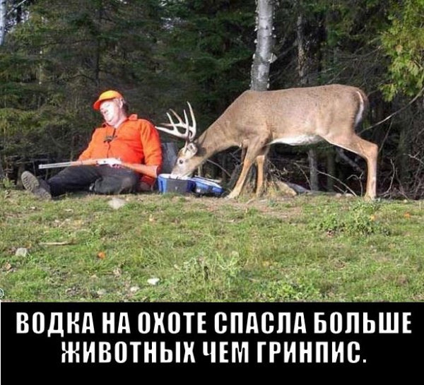 Так себе картинки 05.03.23