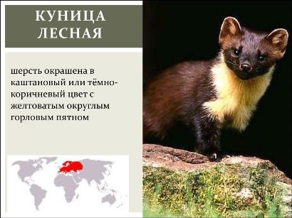 Дохлый женский аргумент: они свято верят, что они нужны мужчинам ради уюта