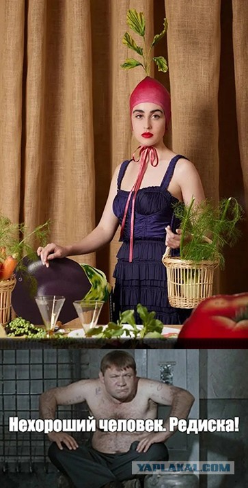 ФотоВинегрет