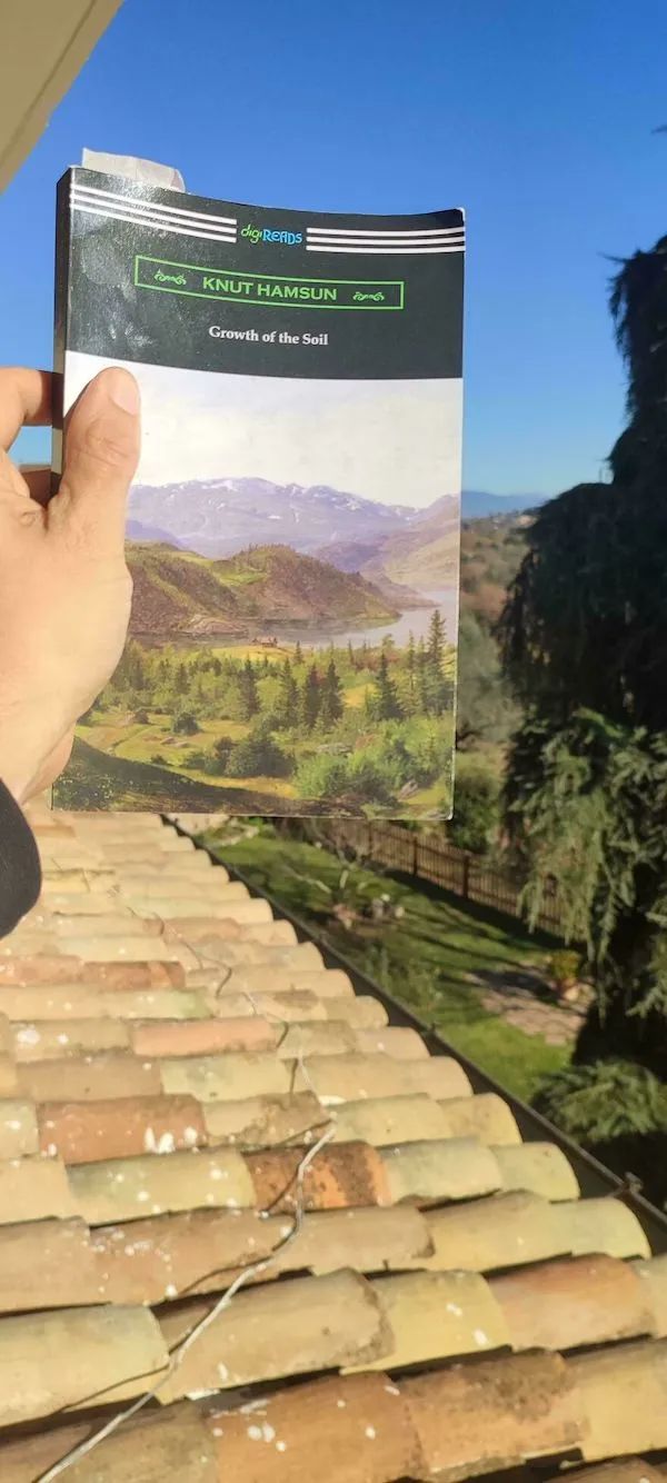 ФотоВинегрет