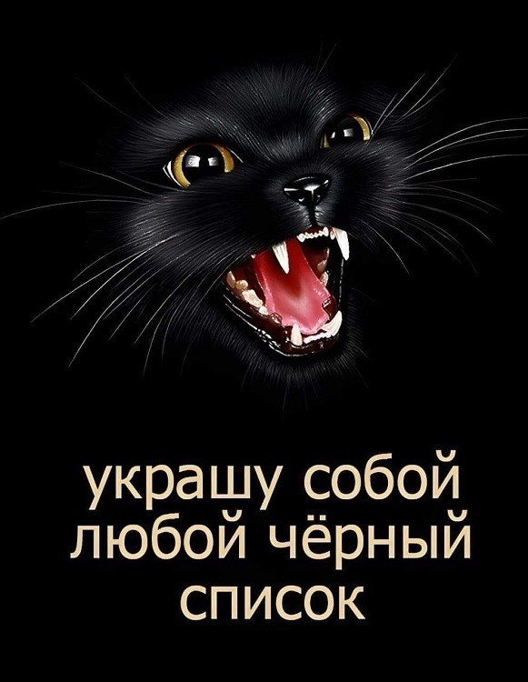День чёрной кошки отмечается сегодня