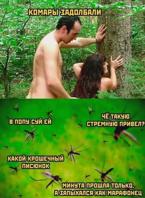 Из мира деградации - 11