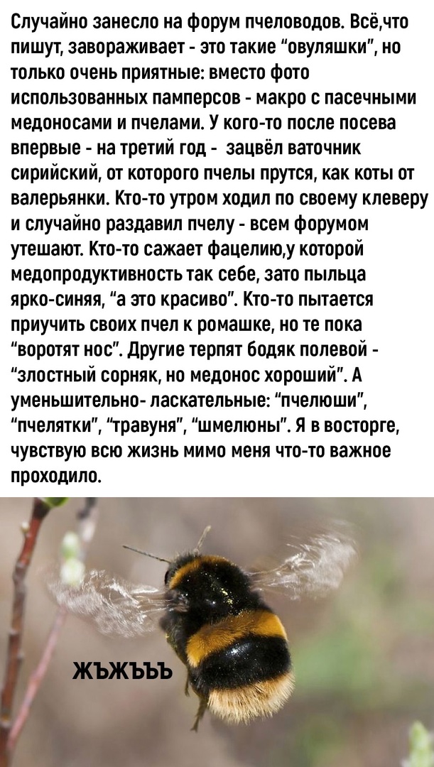 Так себе картинки 14.05.25