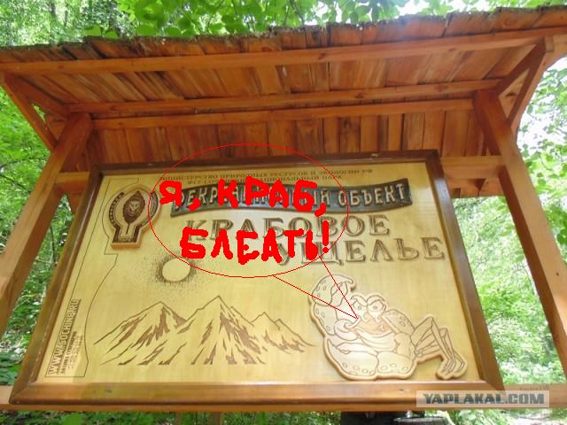 Отпуск в Сочи