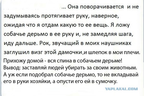 Нерадивым собаководам на заметку