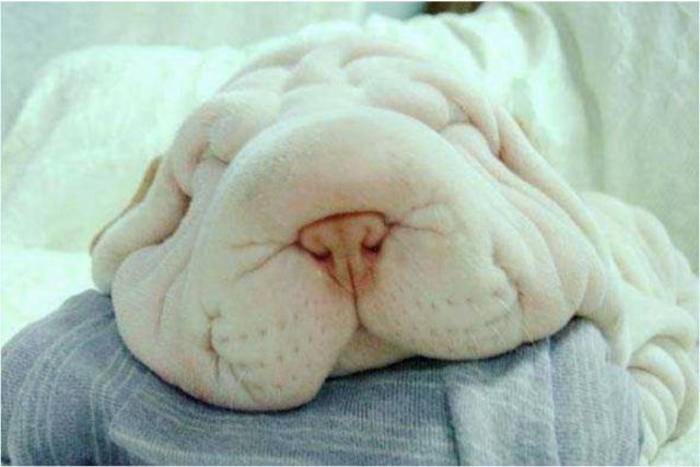 Обращение к родителям, невоспитывающим своих детей