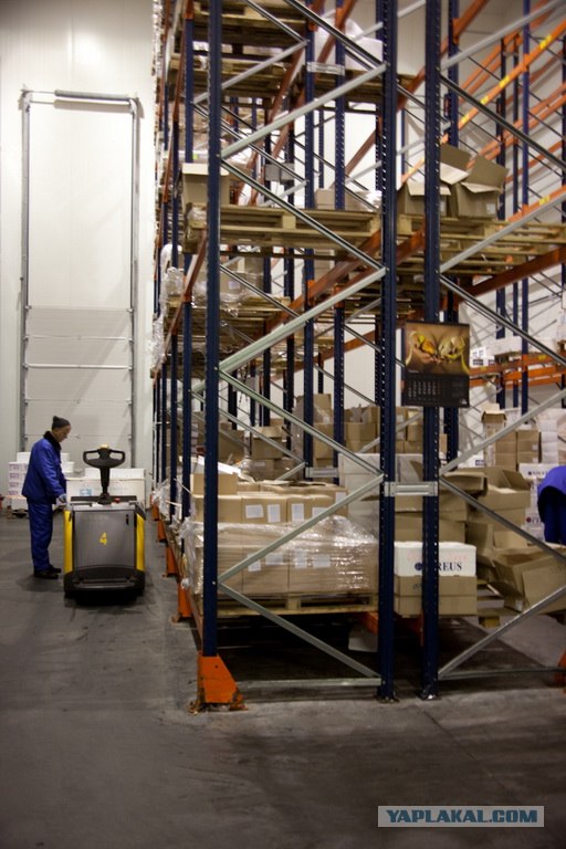 Экскурсия на самой большой холодильник в Украине.