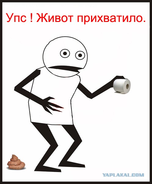 Сходил в парк - наловил бабочек