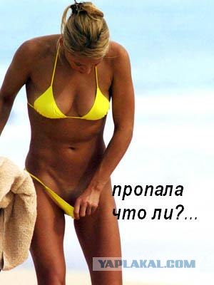 Ликбез по Феминисткам