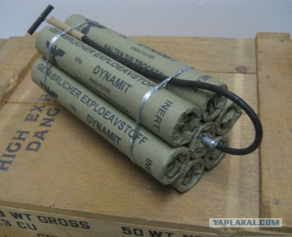 Интересные находки в желудках акул