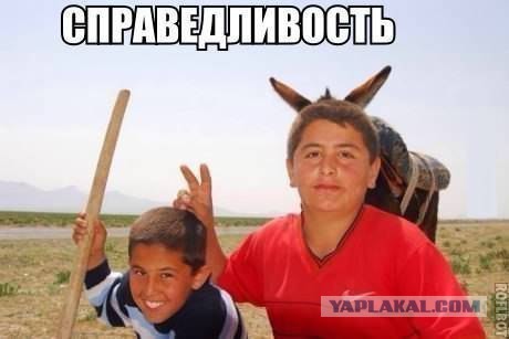 Комментарии из соцсетей, картинки