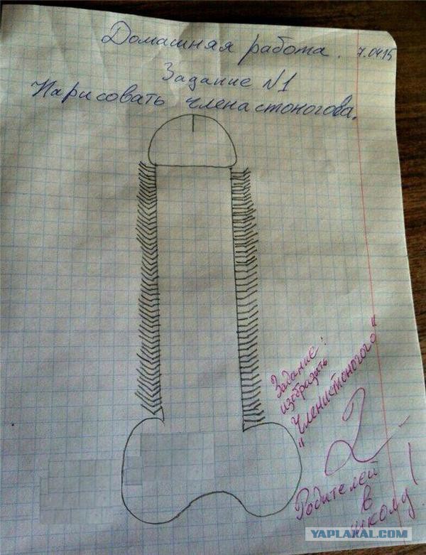 Ужасы и приколы из соцсетей 18+