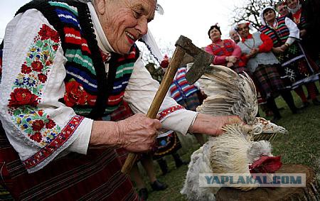 Кровавое увлечение моложавой американской бабули