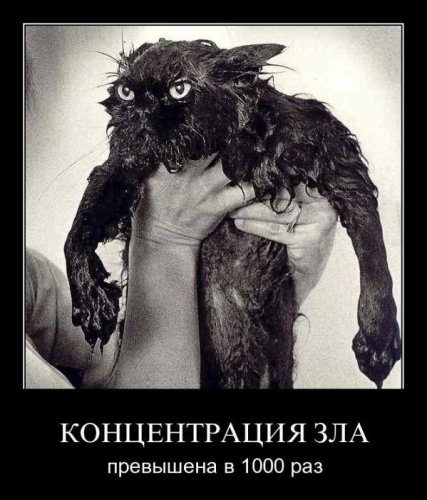 Демотиваторы