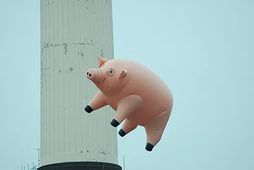 А из нашего окна...