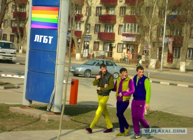 Милые чеченцы