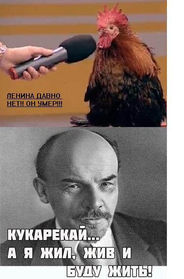 Прикольные картинки