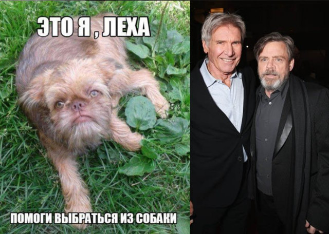 Герои Star Wars тогда и сейчас.