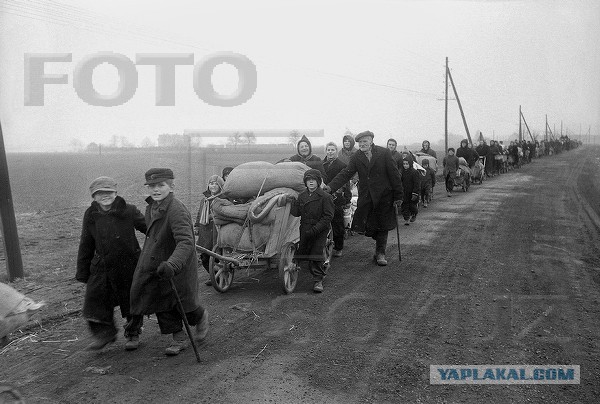 И снова беженцы