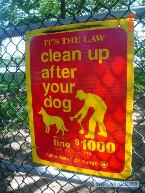 Как я побывал в США. Часть пятая. Заключительная