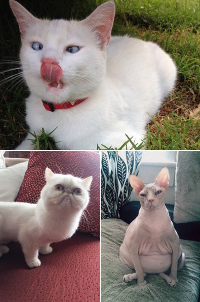 Подборка картинок на среду