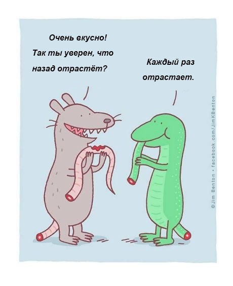 Подборка картинок из сети