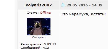 Инстаграм Медведева. Комментарии