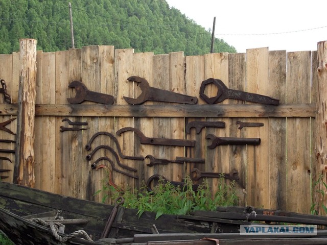 Настоящие мужские МИ-МИ-МИ-шечки