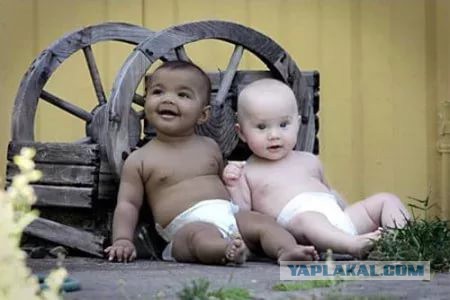 КОКОС 2.1. Внеконкурс