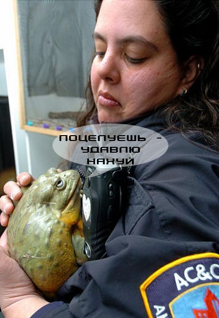 Ути-пути, мой хороший...