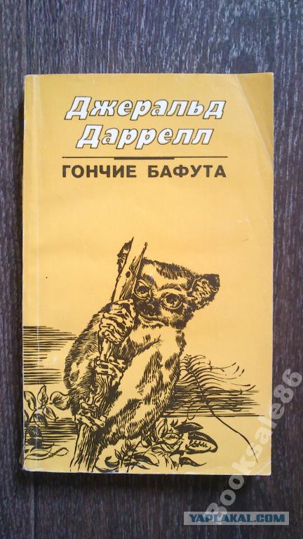 Что читали в детстве?