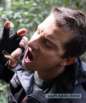 Ну их нафиг, эти салаты-овощи...