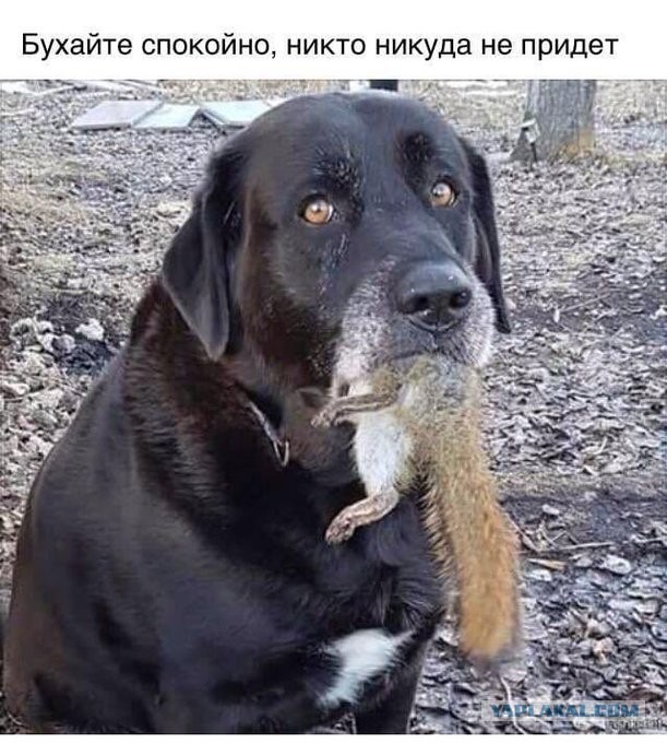 Чуток картинок! 22.12.19