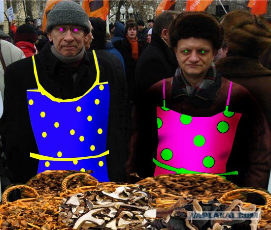 Фотожаба: Митинг