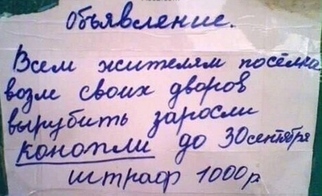 Вот моя деревня, вот мой дом родной..