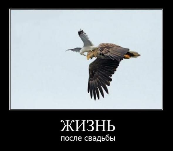 Картинки и буквы 22.12.2020
