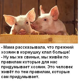 Почему все хотят обратно в СССР