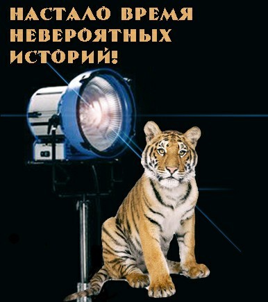 Большой семейный вечер