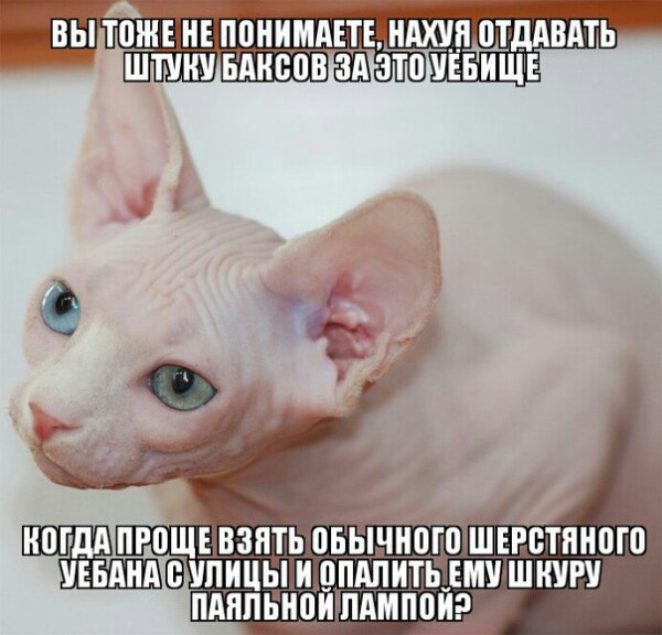 Картинки разные нужны, картинки всякие важны