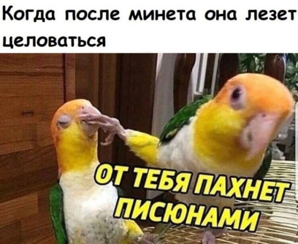 Эй ребят, тут деградационные картинки приехали. Будет местами весело