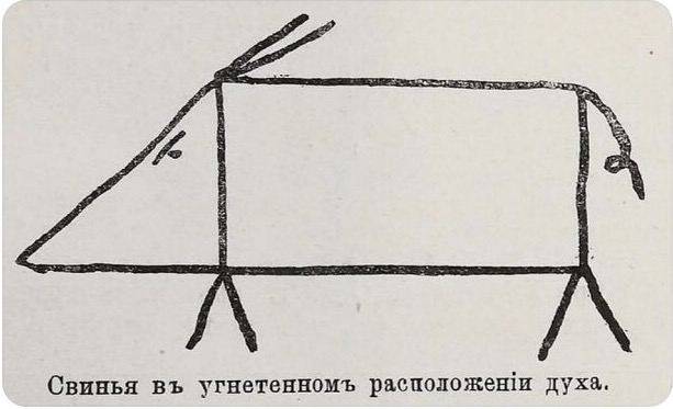 Кретинизмы из КВ и КО 01.02.21