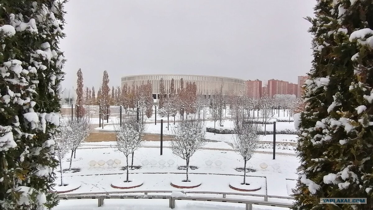 Парк голицына в краснодаре фото зимой
