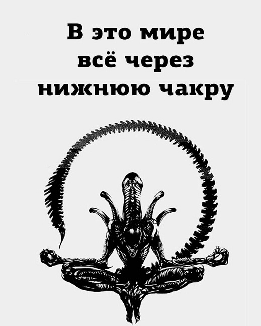 35 картинок разных 28.03.2022