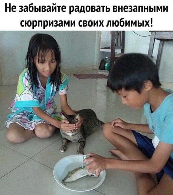 Прикольные и просто красивые картинки 27.04.2022
