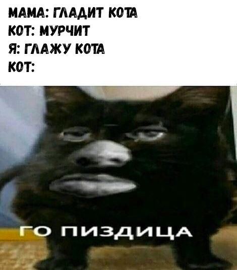 Мемы на конец июля